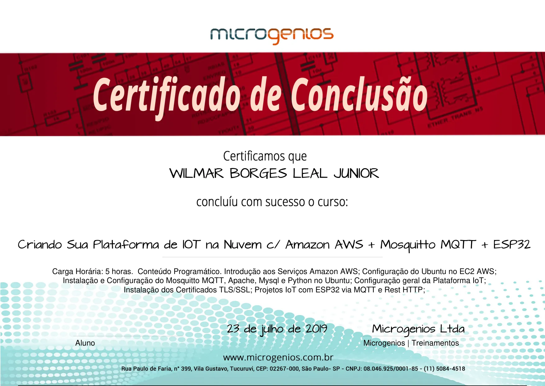 Curso Criando Sua Plataforma de IOT na Nuvem c/ Amazon AWS + Mosquitto MQTT + ESP32 de Wilmar Borges Leal Junior
