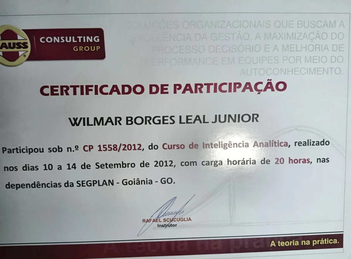 Curso Curso de Inteligência Analítica de Wilmar Borges Leal Junior